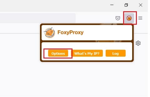 foxy proxy