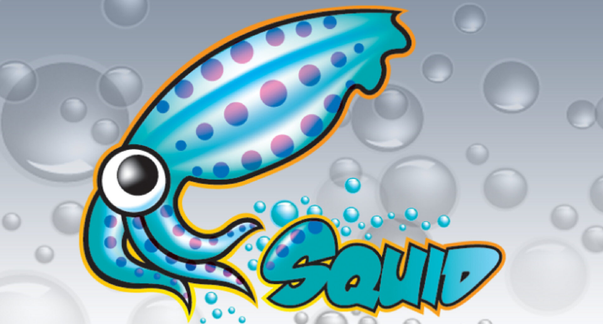 Squid Proxy là gì Hướng dẫn tạo Proxy bằng Squid nhanh chóng