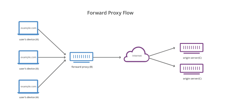 reverse proxy