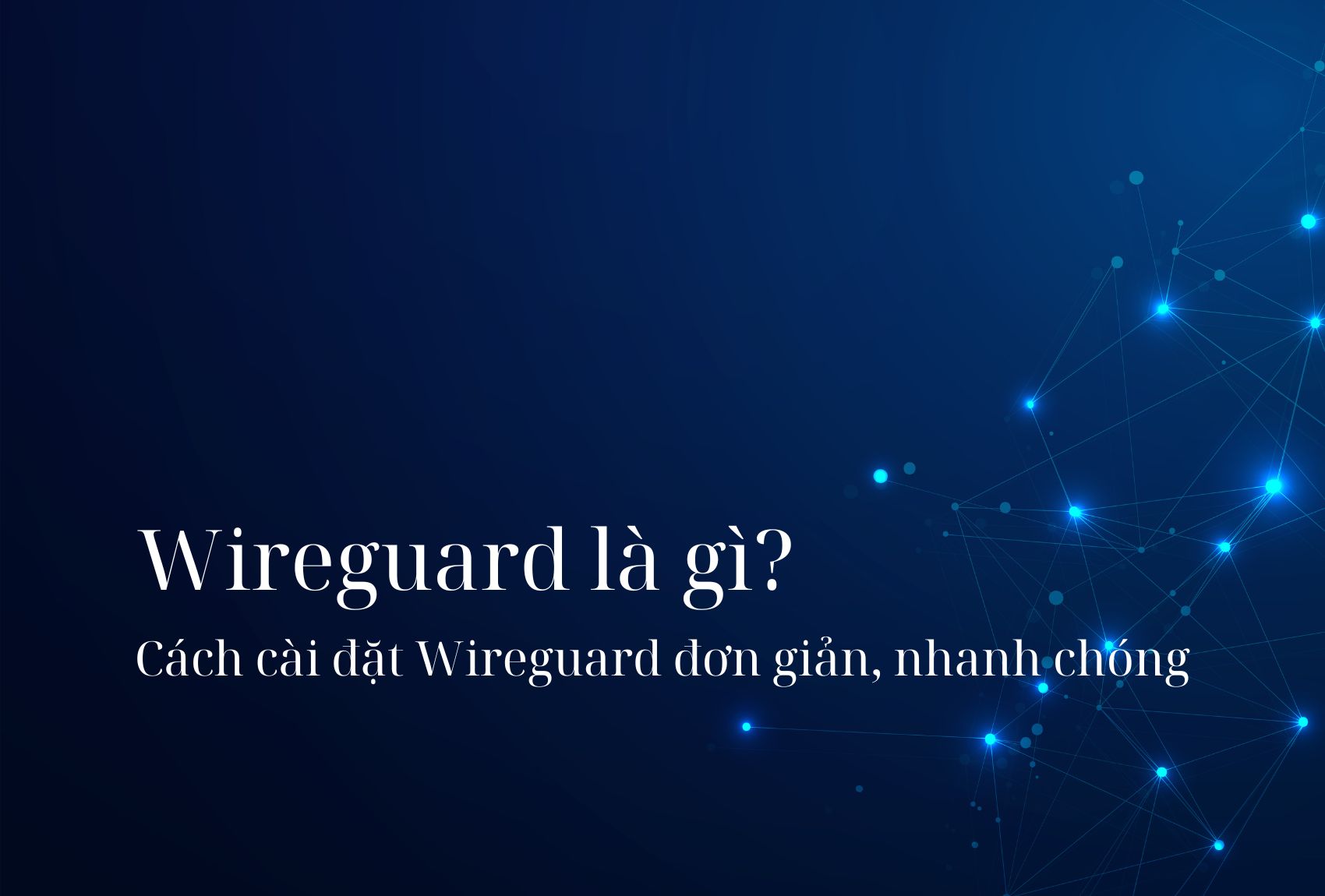 wireguard_vvi