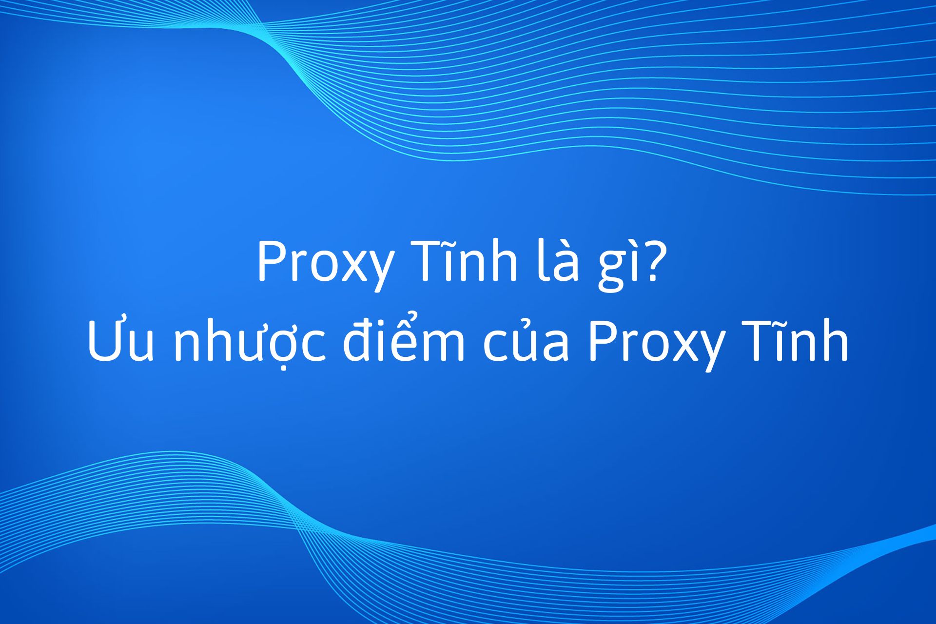 Proxy Tĩnh là gì? Ưu nhược điểm của Proxy Tĩnh