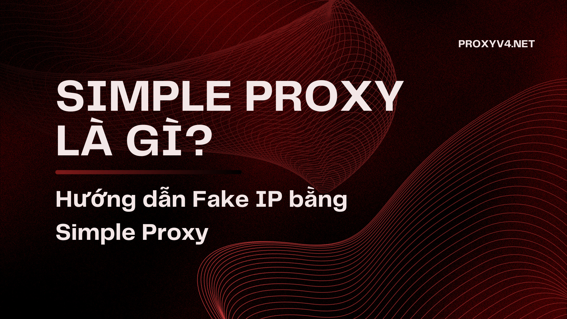 Simple Proxy là gì? Hướng dẫn Fake IP bằng Simple Proxy