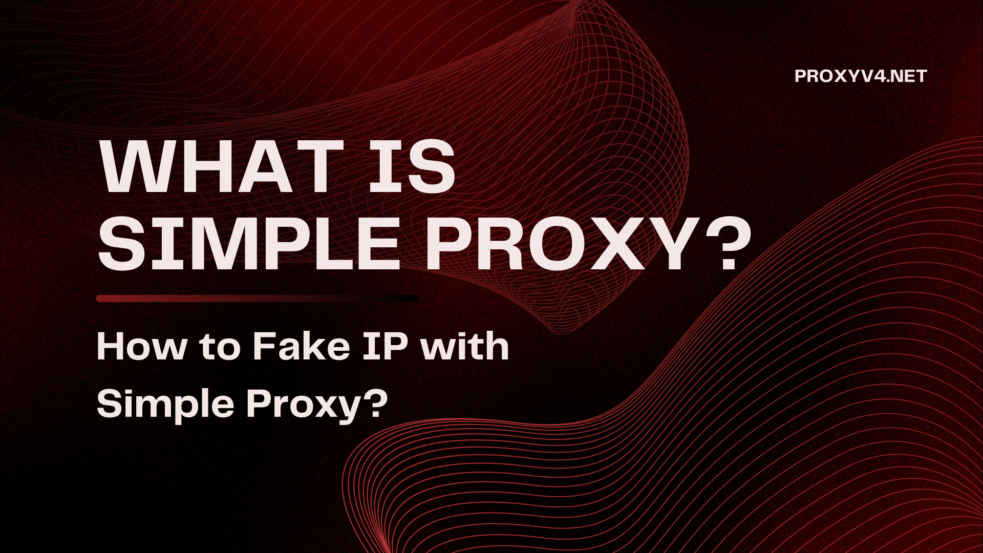 What is Simple Proxy? How to Fake IP with Simple Proxy?